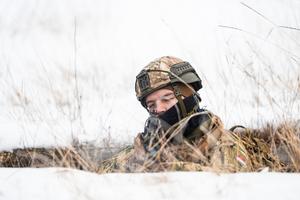 16_frozen_stars_2026-2