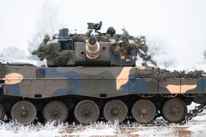 4_frozen_stars_2026-2