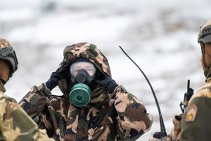 9_frozen_stars_2026-2